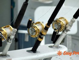 Campeonato de Cataluña de Pesca al Curricán de Costa en L'Ampolla